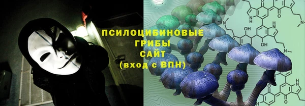 спиды Аркадак