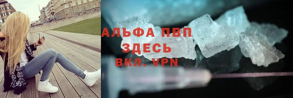 стафф Арсеньев