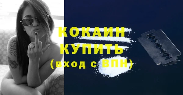 стафф Арсеньев