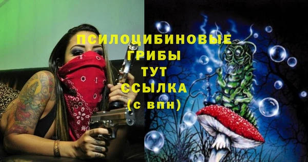 стафф Арсеньев