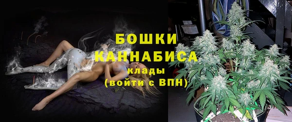 спиды Аркадак