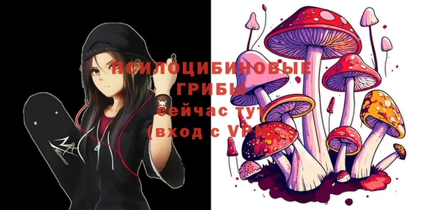 стафф Арсеньев