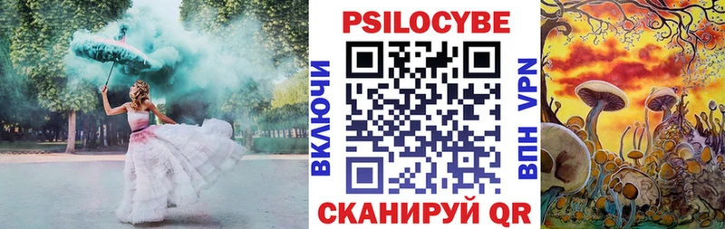 shop формула Мелеуз Псилоцибиновые грибы MAGIC MUSHROOMS