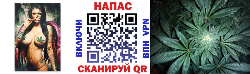 Шишки марихуана планчик  hydra сайт  Мелеуз 